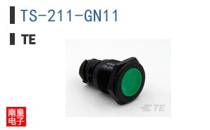 TS-211-GN11
