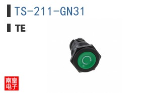 TS-211-GN31