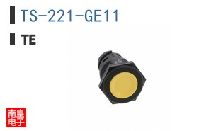 TS-221-GE11