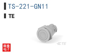 TS-221-GN11