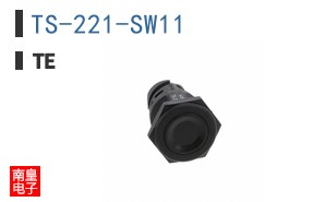 TS-221-SW11