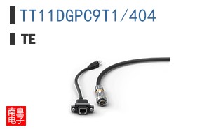 TT11DGPC9T1/404
