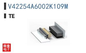 V42254A6002K109M