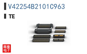 V42254B2101C963