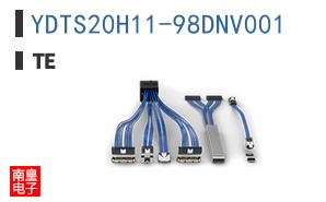 YDTS20H11-98DNV001