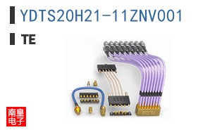 YDTS20H21-11ZNV001