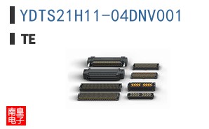 YDTS21H11-04DNV001