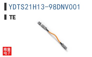 YDTS21H13-98DNV001