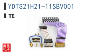 YDTS21H21-11SBV001