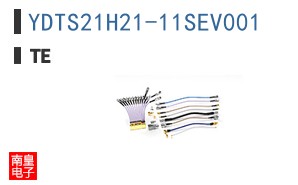 YDTS21H21-11SEV001