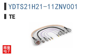 YDTS21H21-11ZNV001