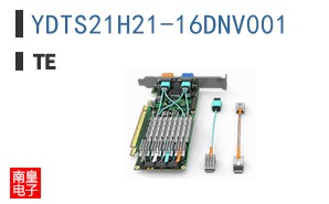 YDTS21H21-16DNV001