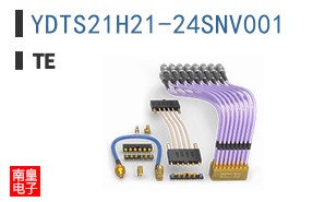 YDTS21H21-24SNV001