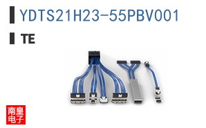 YDTS21H23-55PBV001