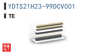 YDTS21H23-99DCV001