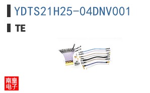 YDTS21H25-04DNV001
