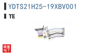 YDTS21H25-19XBV001
