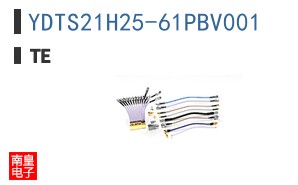 YDTS21H25-61PBV001