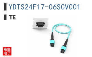 YDTS24F17-06SCV001