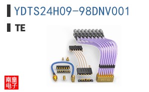 YDTS24H09-98DNV001