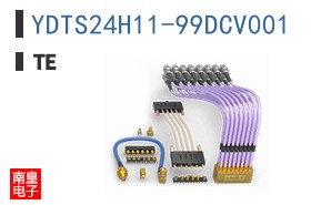 YDTS24H11-99DCV001