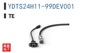 YDTS24H11-99DEV001