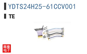 YDTS24H25-61CCV001