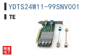 YDTS24W11-99SNV001