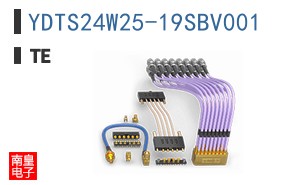 YDTS24W25-19SBV001