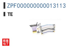 ZPF000000000013113