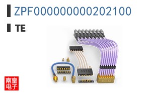 ZPF000000000202100