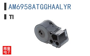 AM6958ATGGHAALYR
