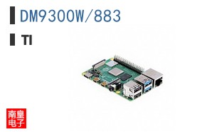 DM9300W/883