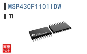 MSP430F1101IDW