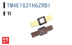 TM4E1G31H6ZRBI