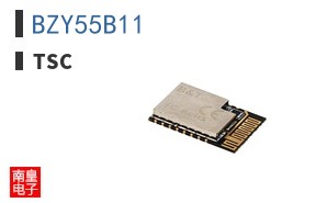 BZY55B11