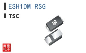 ESH1DM RSG