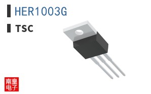 HER1003G