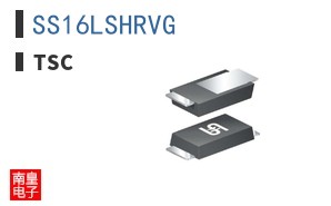 SS16LSHRVG