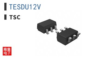 TESDU12V