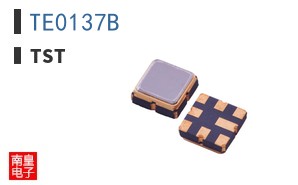 TE0137B