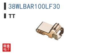 38WLBAR100LF30