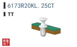 6173R20KL.25CT