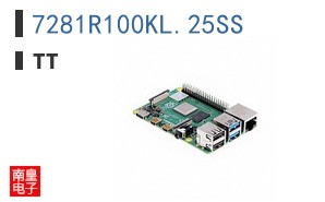 7281R100KL.25SS
