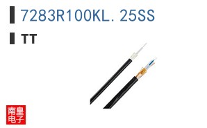 7283R100KL.25SS