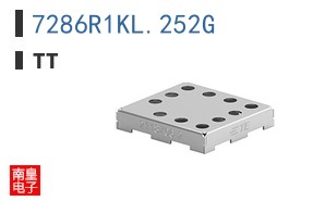 7286R1KL.252G