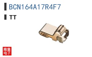 BCN164A17R4F7