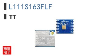 L111S163FLF