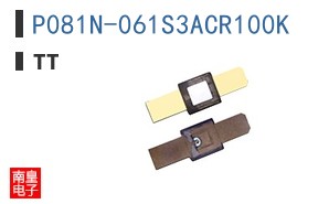 P081N-061S3ACR100K