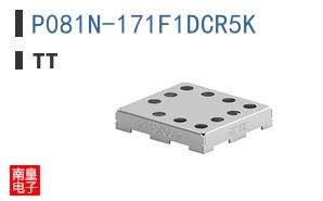 P081N-171F1DCR5K